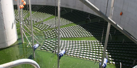 disc diffuser Specialized PTFE Coated Disc Diffusers as Solution disc diffuser Specialized PTFE Coated Disc Diffusers as Solution